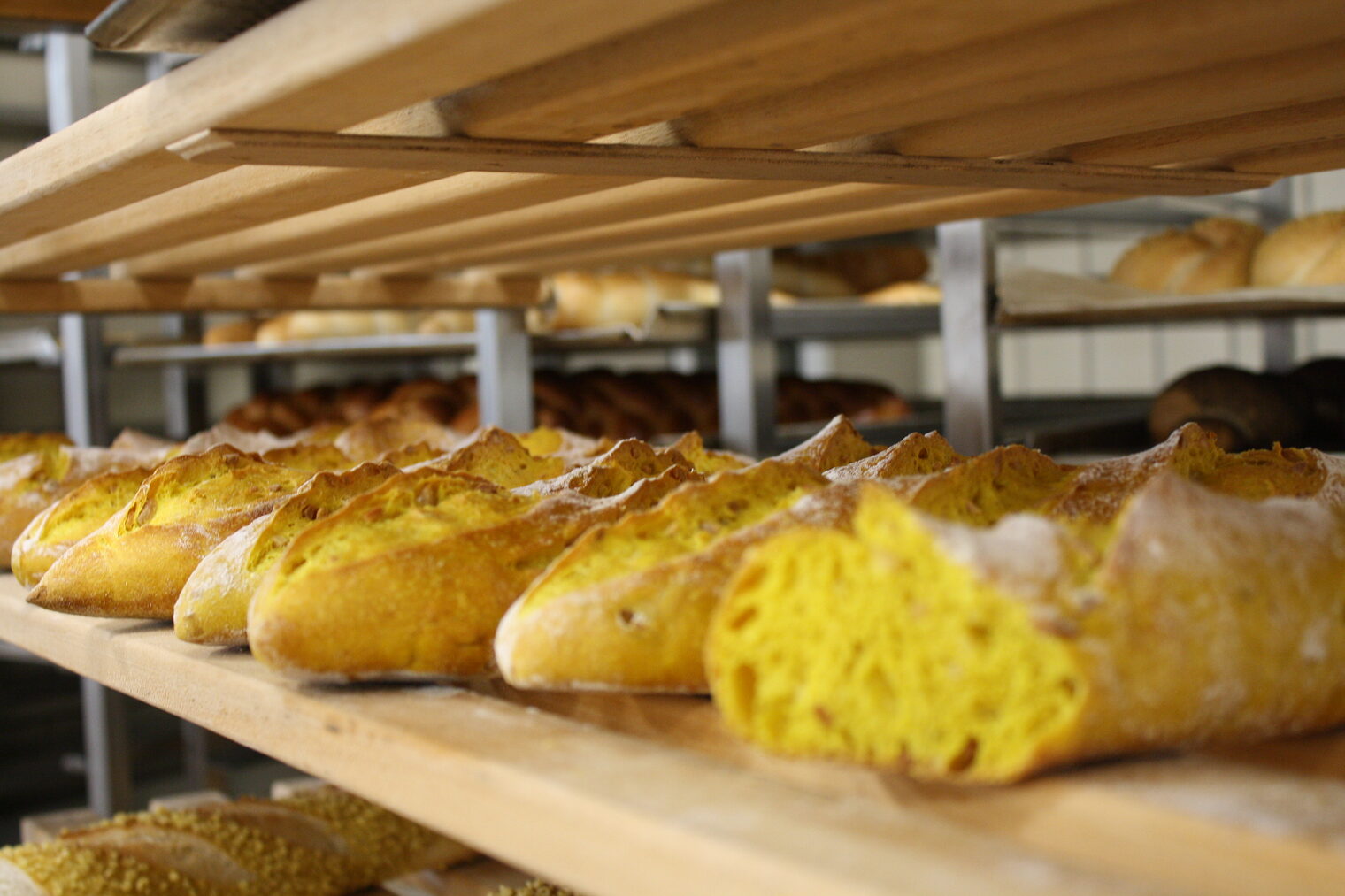 Frischgebackene Baguettes liegen nebeneinandergereiht auf einem Backwagen.