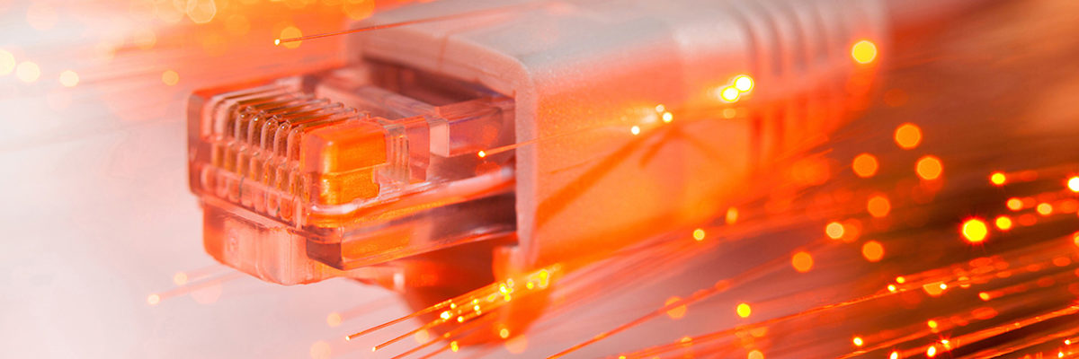 Betriebsinformatiker, EDV-Entwickler, Wirtschaftsinformatiker