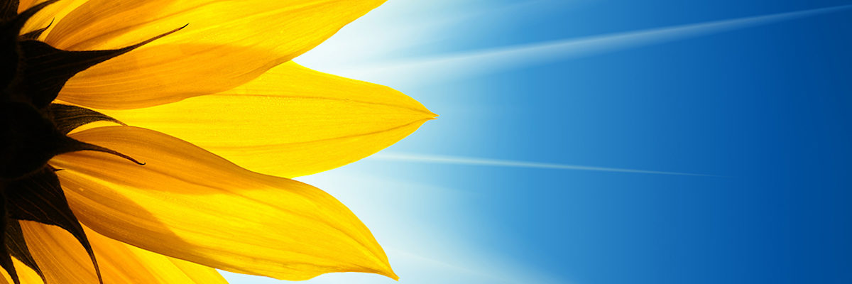 Energie, Umwelt, Nachhaltigkeit