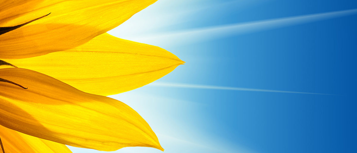 Energie, Umwelt, Nachhaltigkeit