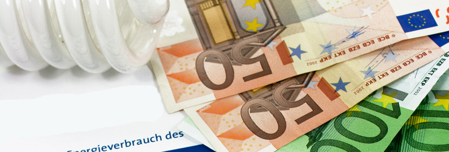 energieausweis, energiepass, energieverschwendung, heizen, heizkosten, energie, thermal, thermografie, thermographie, wärme, wärmebild, wärmedämmung, wärmeverlust, energiesparen, energiesparbirne, banknoten, eigentümer, energiebedarf, energieeffizienz, energieverbrauch, energieversorgung, euro, formular, geldscheine, hauseigentümer, sparen, strom, stromkosten, stromrechnung, stromverbrauch, verbraucher, wohngebäude, zertifikat, abbildung, gebäude, haus, infrarot, oberfläche, strahlung, winter, energiekosten, sparbirne, hausisolierung, kostenfalle, isolieren, kälte, temperatur, abrechnung, klima, umweltschutz